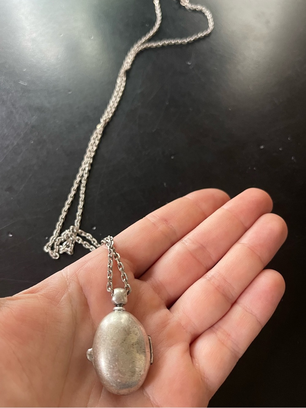 J. Crew Long Pendant Locket Necklace